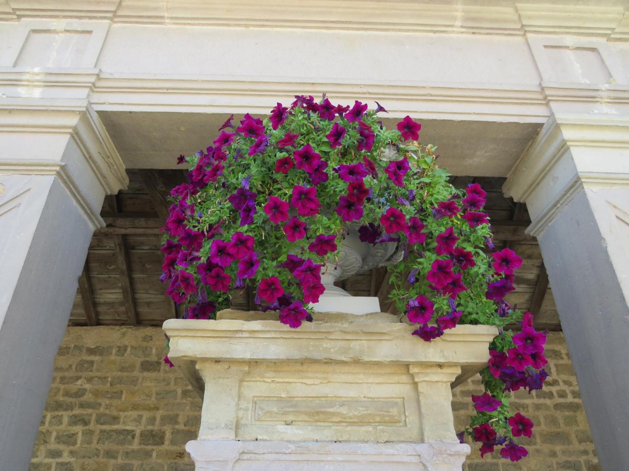 Grange D'Anjeux Bed & Breakfast Εξωτερικό φωτογραφία